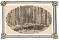 neinteraktivni_obnrazek