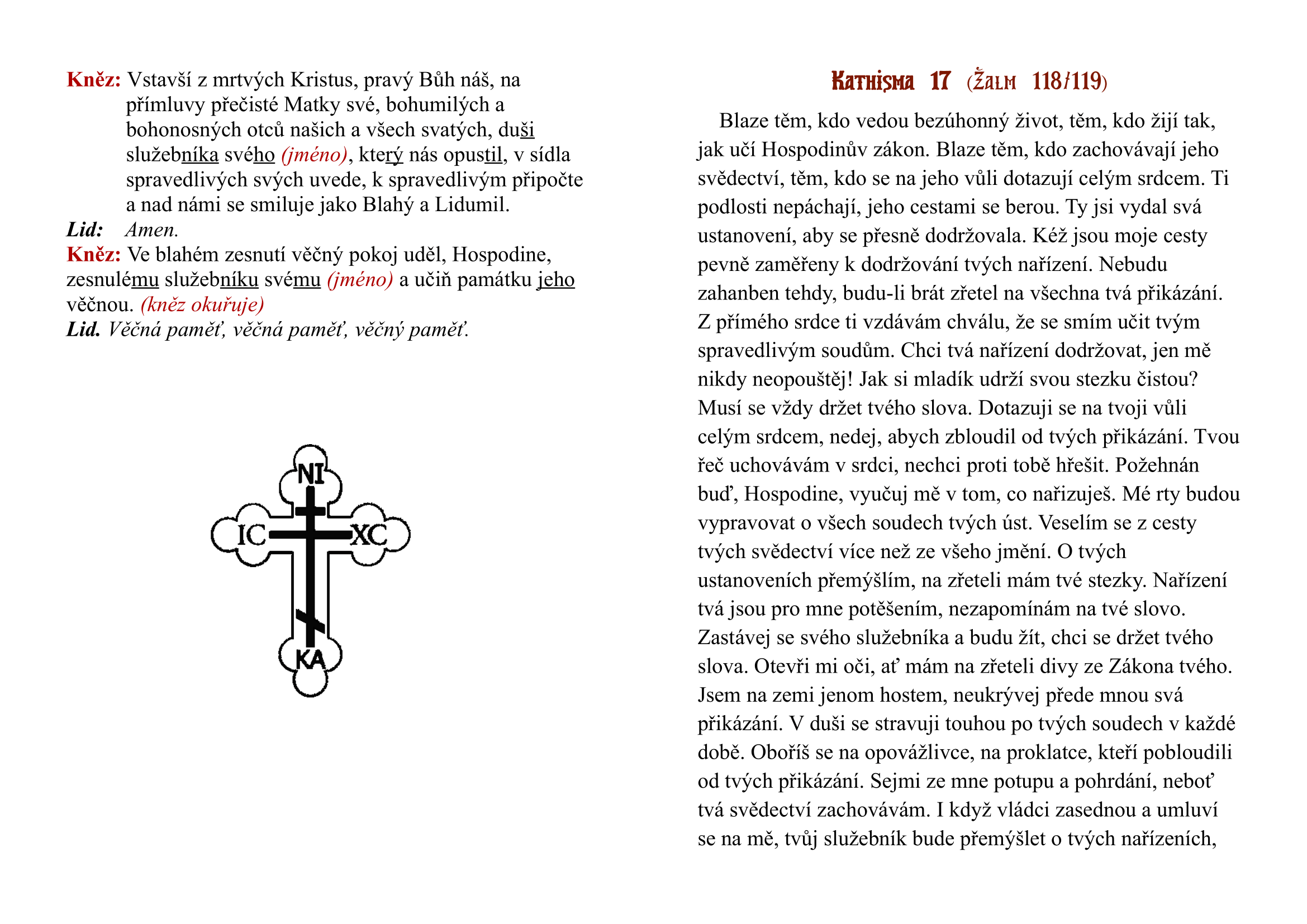 neinteraktivni_obnrazek