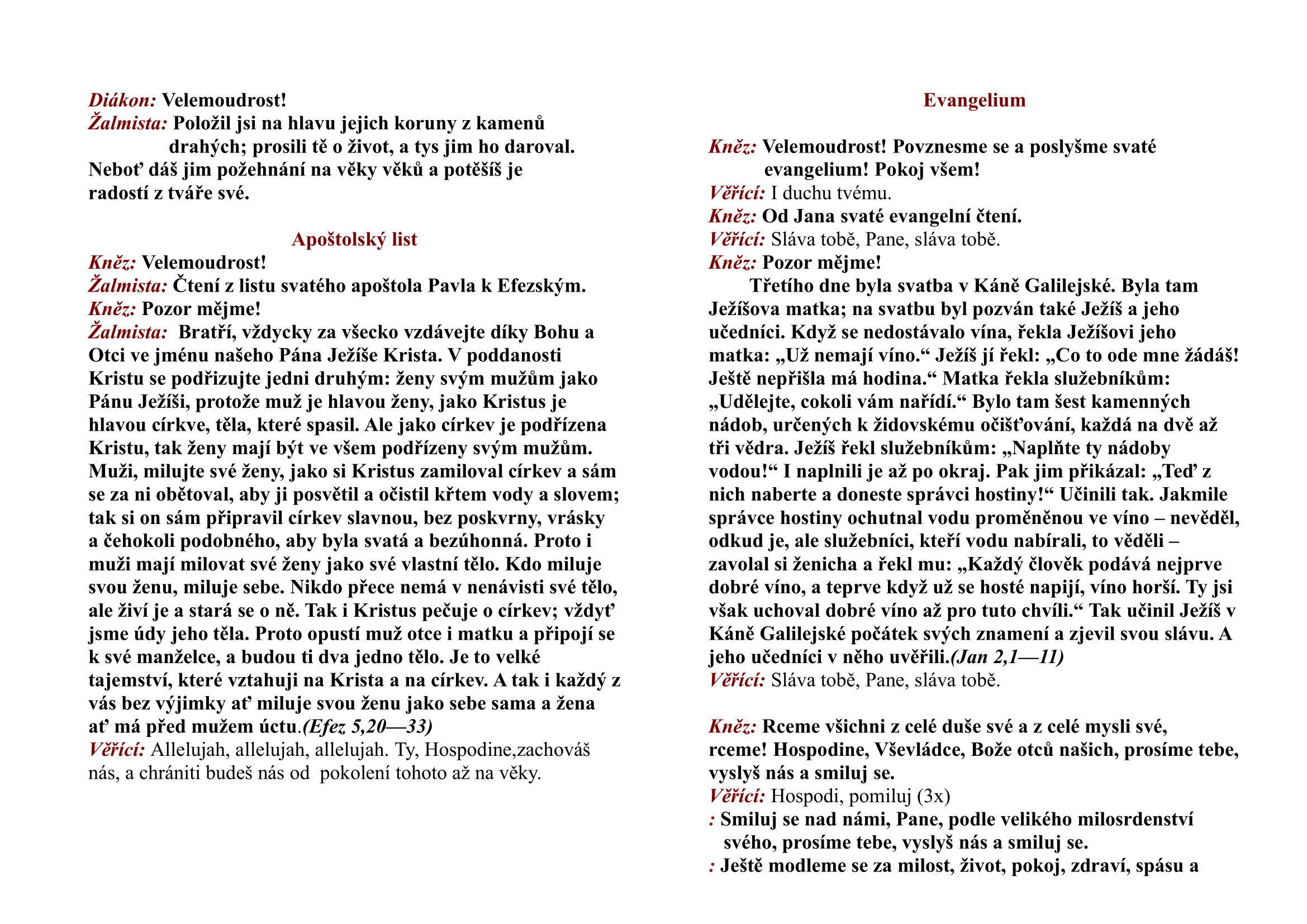 neinteraktivni_obnrazek